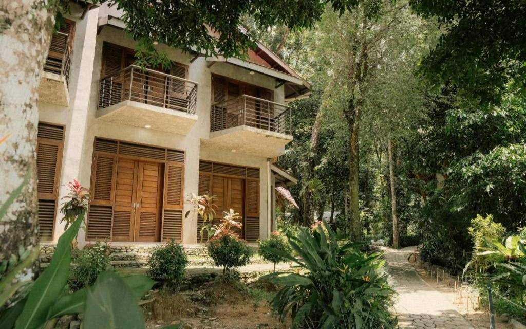 Ecolodge Bukit Lawang