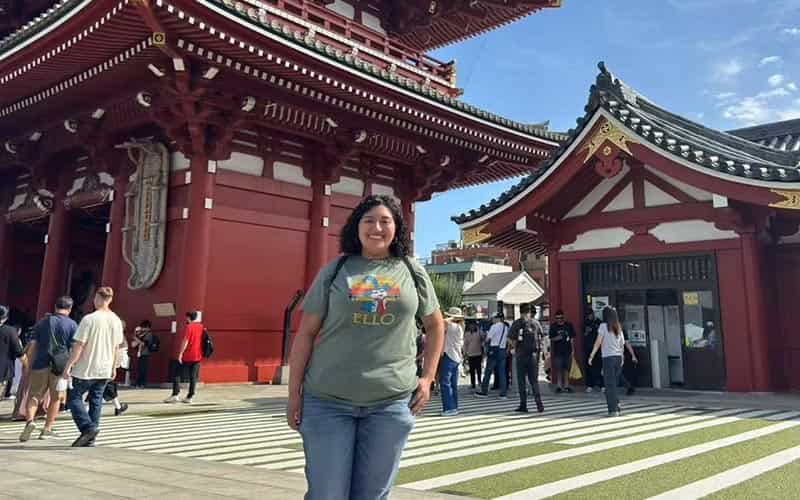 12-Day Private Solo Japan Journey: Discovering Japan At A Personal Pace