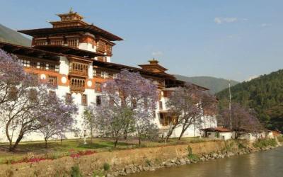 Punakha Dzong(Palace of Great Happiness)