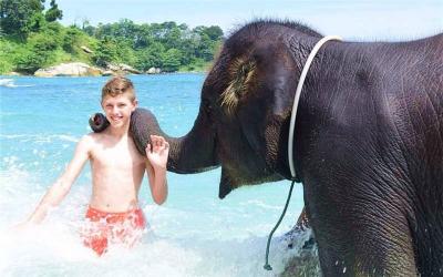 Swim with elephant