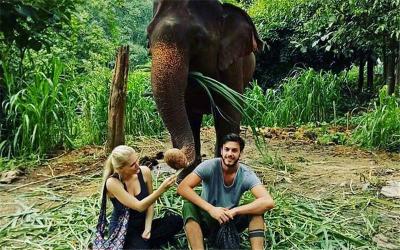 Chai Lai Elephant Rescue
