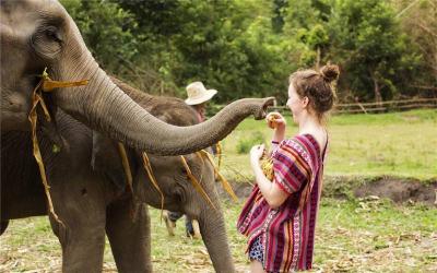 Chiang Mai Elephant Jungle Sanctuary