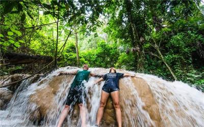 Bua Tong Sticky Waterfalls