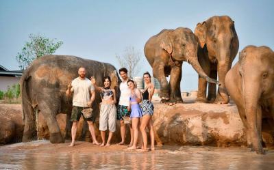 Pattaya Elephant Jungle Sanctuary 