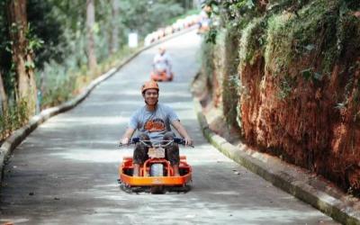 Luge Cart