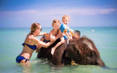 Thailand Family Fun & Swim with the Elephant