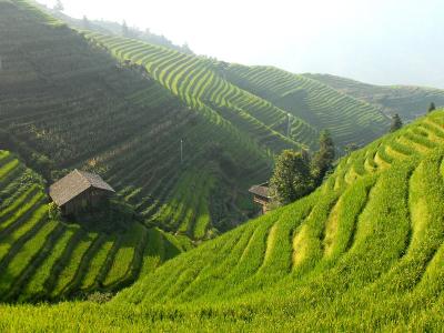 China: Where The Ancient Meets Modernity