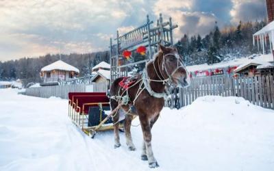 The horse-drawn sleigh