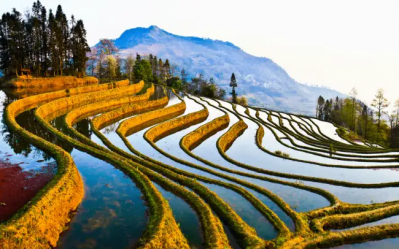 Duoyishu Rice Terraces
