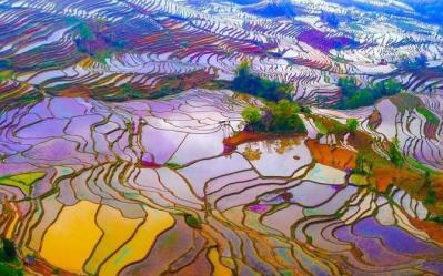 Bada Rice Terraces