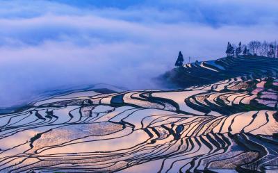 Laohuzui Rice Terraces