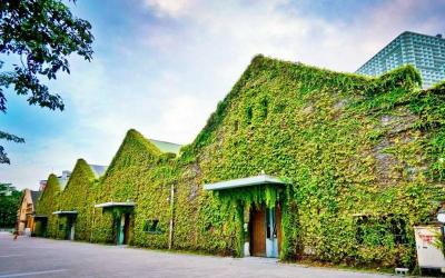 Taiwan Cities and Landscapes Tour