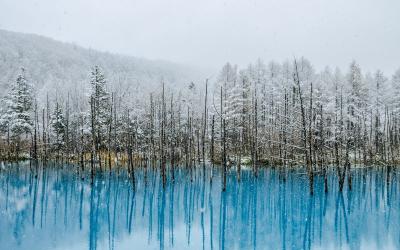 Blue Pond (Aoiike)