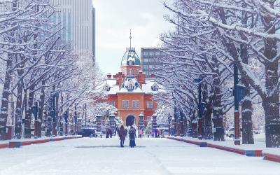 Wandering of Japan Ends Hokkaido