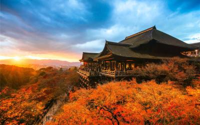 Enchanting Japan Maple Viewing Tour