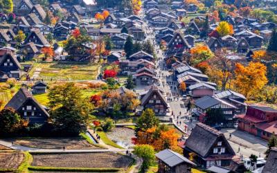 Honeymoon:Exploring Japan's Autumn Beauty Together
