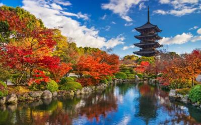 A Senior-Friendly Journey Through Japan in Autumn
