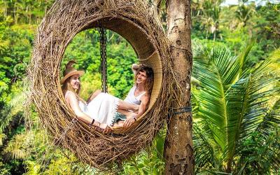 Hanging Nests