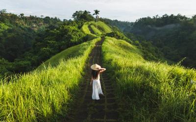 Campuhan Ridge Walk