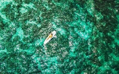 NusaBay Menjangan Snorkeling