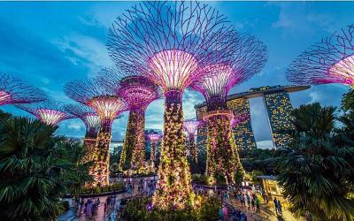 Gardens by the Bay