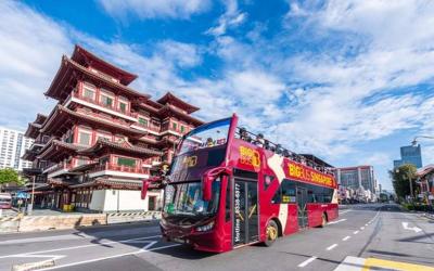 Singapore Hop-On Hop-Off City Sightseeing Tour