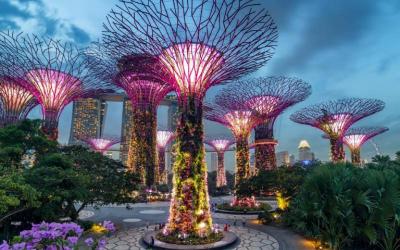 Gardens by Bay Night View