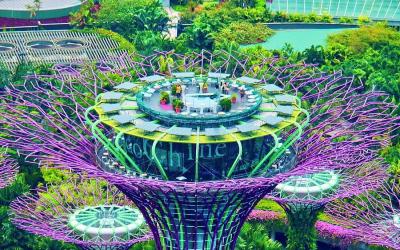 Singapore, Thailand, Cambodia and Vietnam Family Exploration