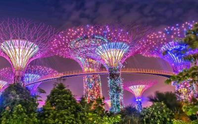 Singapore & Bali Ultimate Family Tour