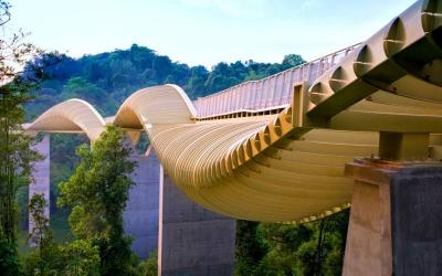 Henderson Waves Bridge