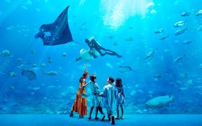 S.E.A. Aquarium