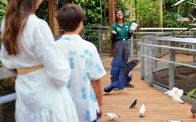 Singapore Bird Paradise