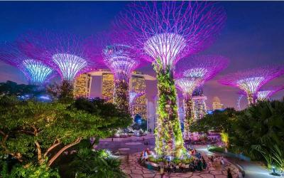 Singapore Highlights Tour