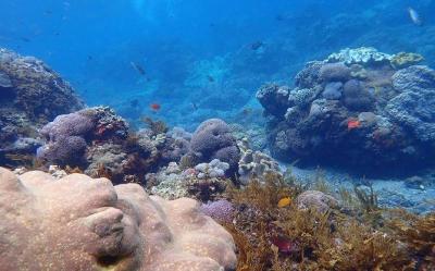 Bali Marine Protected Area
