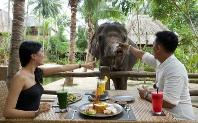 Sample food at the park