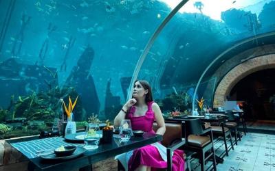 Koral: Bali's First Aquarium Restaurant(Adults only,Dinner in the Underwater Tunnel Restaurant with 