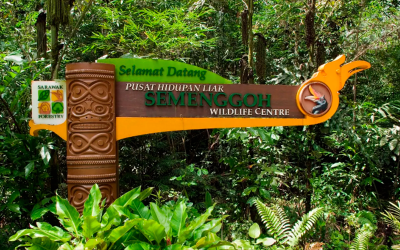Semenggoh Wildlife Centre