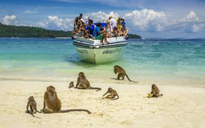 Monkey Beach Penang