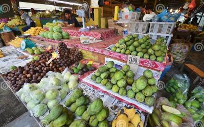 Kota Kinabalu Vegetable Fruits Market