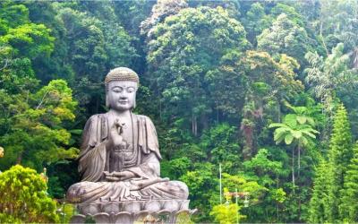 15-meter high statue of Buddha