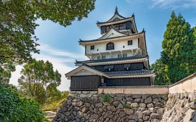 Iwakuni Castley
