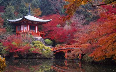 Japan Autumn Castles Expedition