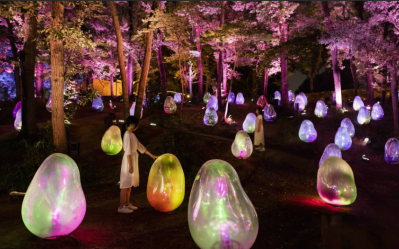 Teamlab Botanical Garden