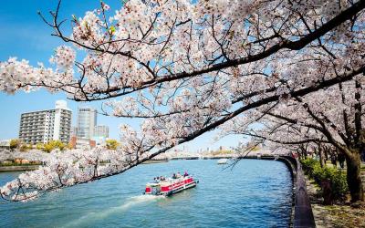 Kema Sakuranomiya Park