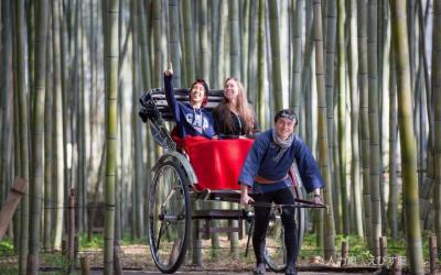 Arashiyama Rickshaw Experience 30min