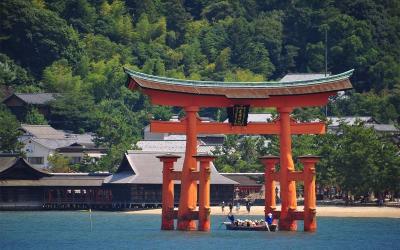 Japanese Culture Family Tour