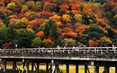 Japan Autumn Tour (For Family with Teens)