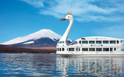 Sightseeing boat Swan Lake