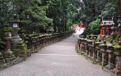 Kasugataisha shrine