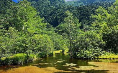 Tashiro Pond